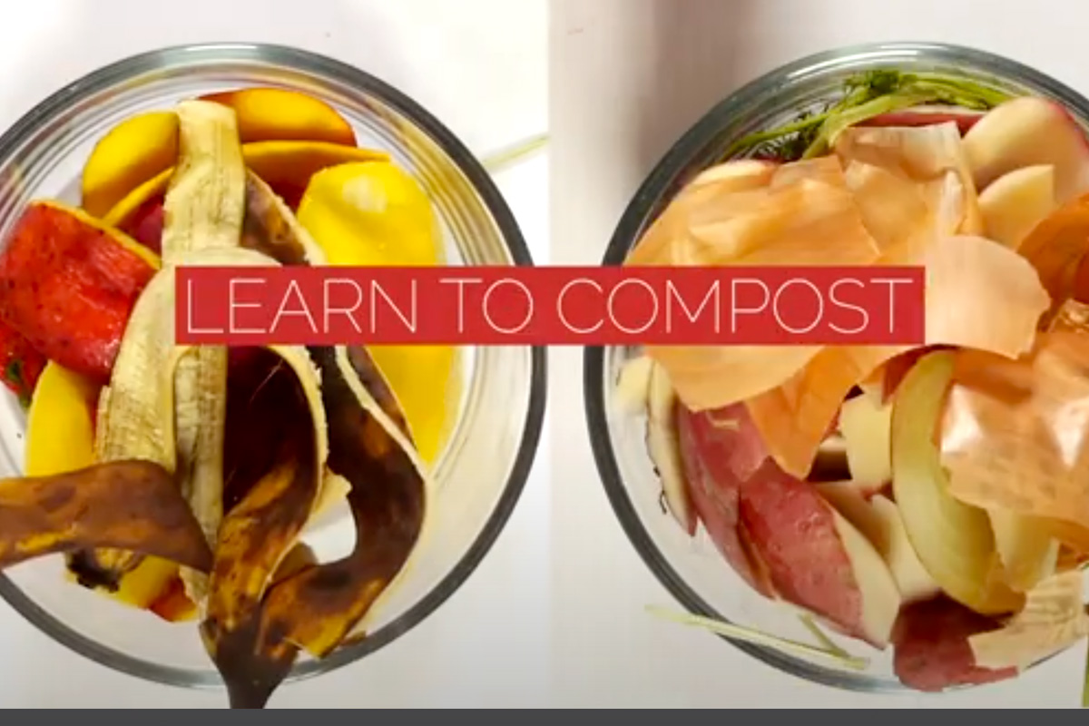 Food Waste Reduction – Composting